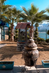 Dolphin Boutique Hotel
