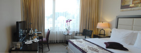 Celik Palace