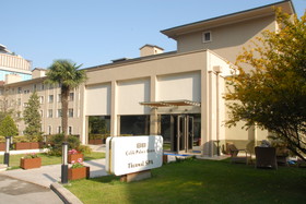 Celik Palace