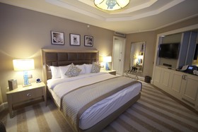 Hilton Bursa Convention Center & Spa