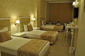 Hotel Edirne Palace