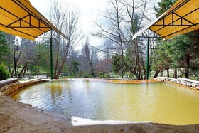 Golden Grass Thermal