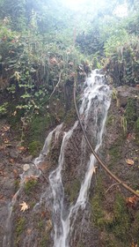 Zeyve Lavanta Tatil Köyü