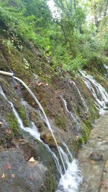 Zeyve Lavanta Tatil Köyü