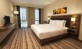 Hilton Garden Inn Erzincan