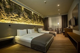 The Erzurum Hotel