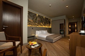 The Erzurum Hotel