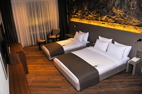 The Erzurum Hotel