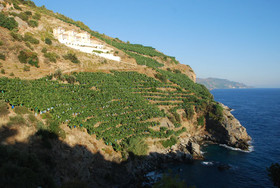 Blue Lagoon Village