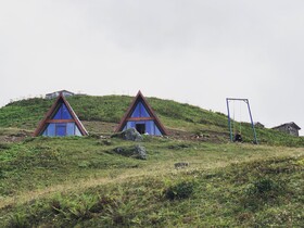 Bear Bungalov
