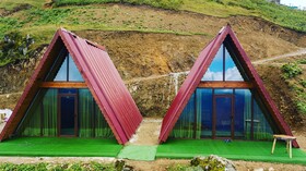 Bear Bungalov