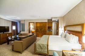 Dedeman Konya Hotel & Convention Center