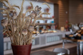 Novotel Konya Hotel