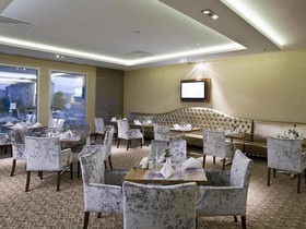 Anemon Malatya