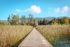 The Lake House