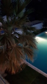 Palmiye Otel