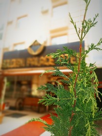 Golden Palace Otel Polatli