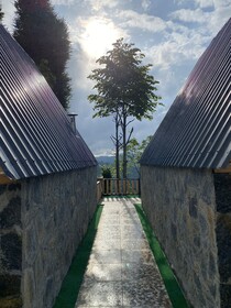 Rize Serenity Bungalov