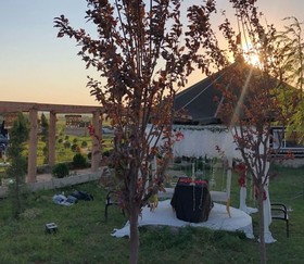 Göbeklitepe Çadir Saray