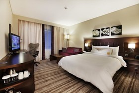 Hilton Garden Inn Sanliurfa