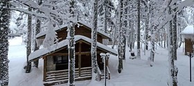 Uludag Orman Koskleri