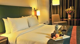 DoubleTree by Hilton Hotel Van
