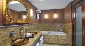 DoubleTree by Hilton Hotel Van