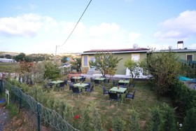 Forest Blue Beach Otel