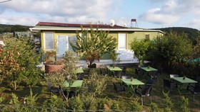 Forest Blue Beach Otel