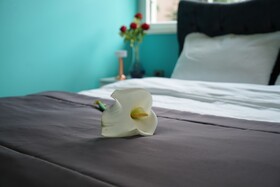 Palm Villa Büyük Ada