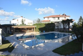 Treekos Suite