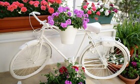 Hi Hotel Ivy Buyukada