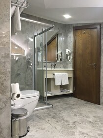 The Elegant Hotel