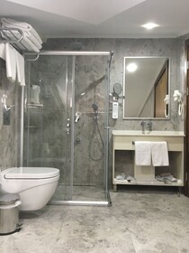 The Elegant Hotel