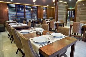 The Elegant Hotel