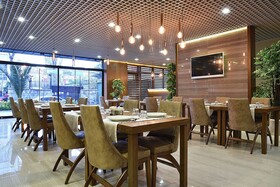 The Elegant Hotel