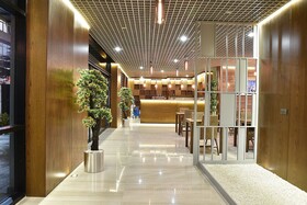 The Elegant Hotel