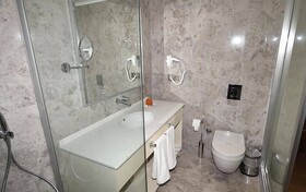 The Elegant Hotel