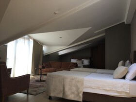 The Elegant Hotel