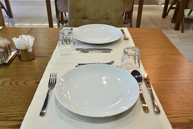 The Elegant Hotel