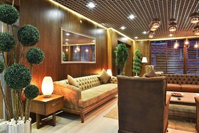The Elegant Hotel