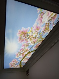 Fish Gold Apart Suites