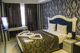 Albatros Hagia Sophia