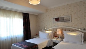 Albinas Hotel Old City