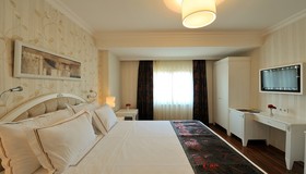 Albinas Hotel Old City