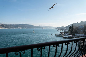 Bebek