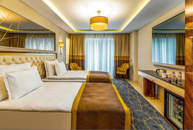 Beethoven Senfoni Hotel