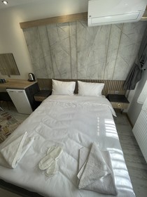 Blue Mansion Hotel
