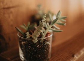 Büyükada Loc’Ada