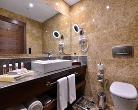 Clarion Hotel Istanbul Mahmutbey